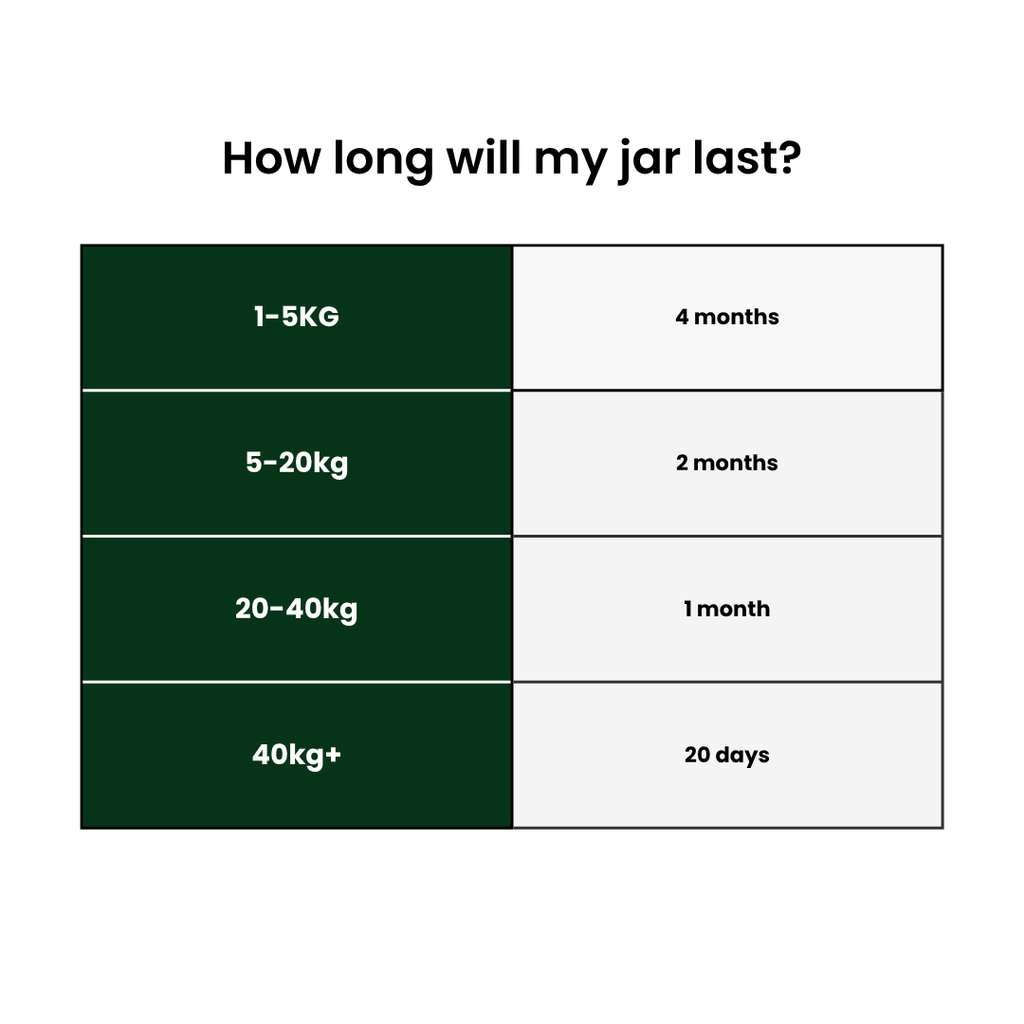 Dental Care Powder product image 8