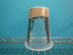 Live Hornworm Reptile Feeders product image 4