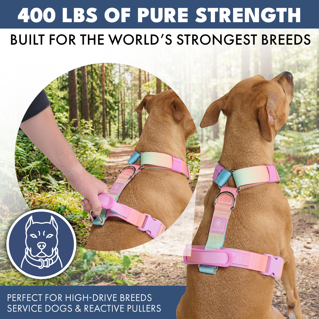 No-Pull Dog Harness Walking Set product image 11