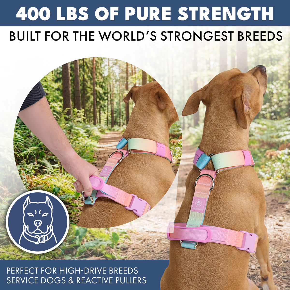 No-Pull Dog Harness Walking Set product image 11