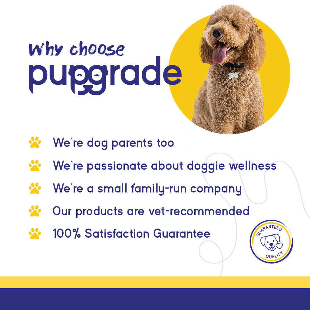 Dog Calming Support Soft Chews product image 5