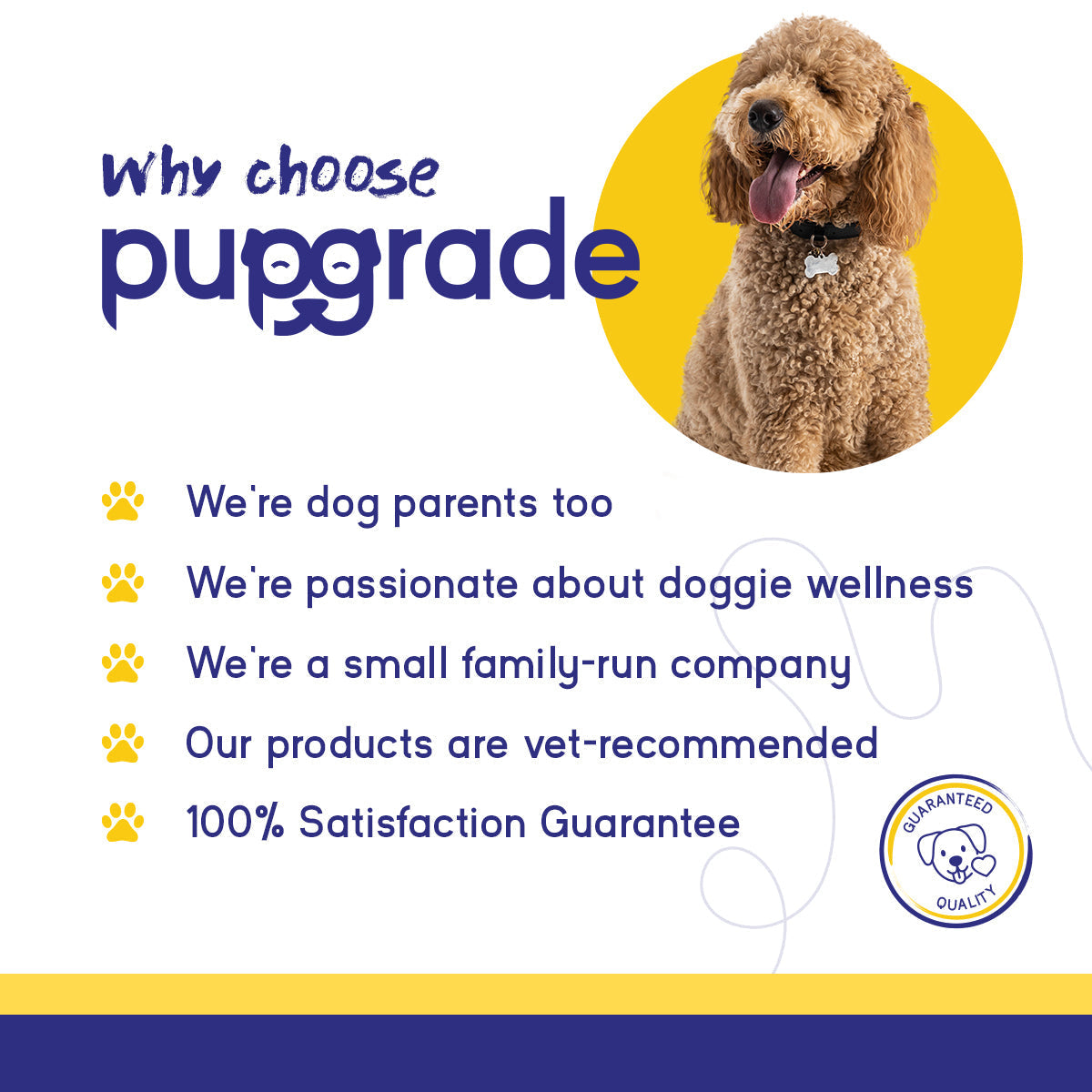 Dog Calming Support Soft Chews product image 5