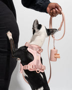 Leash-Attached Dog Waste Bag Dispenser product image 50