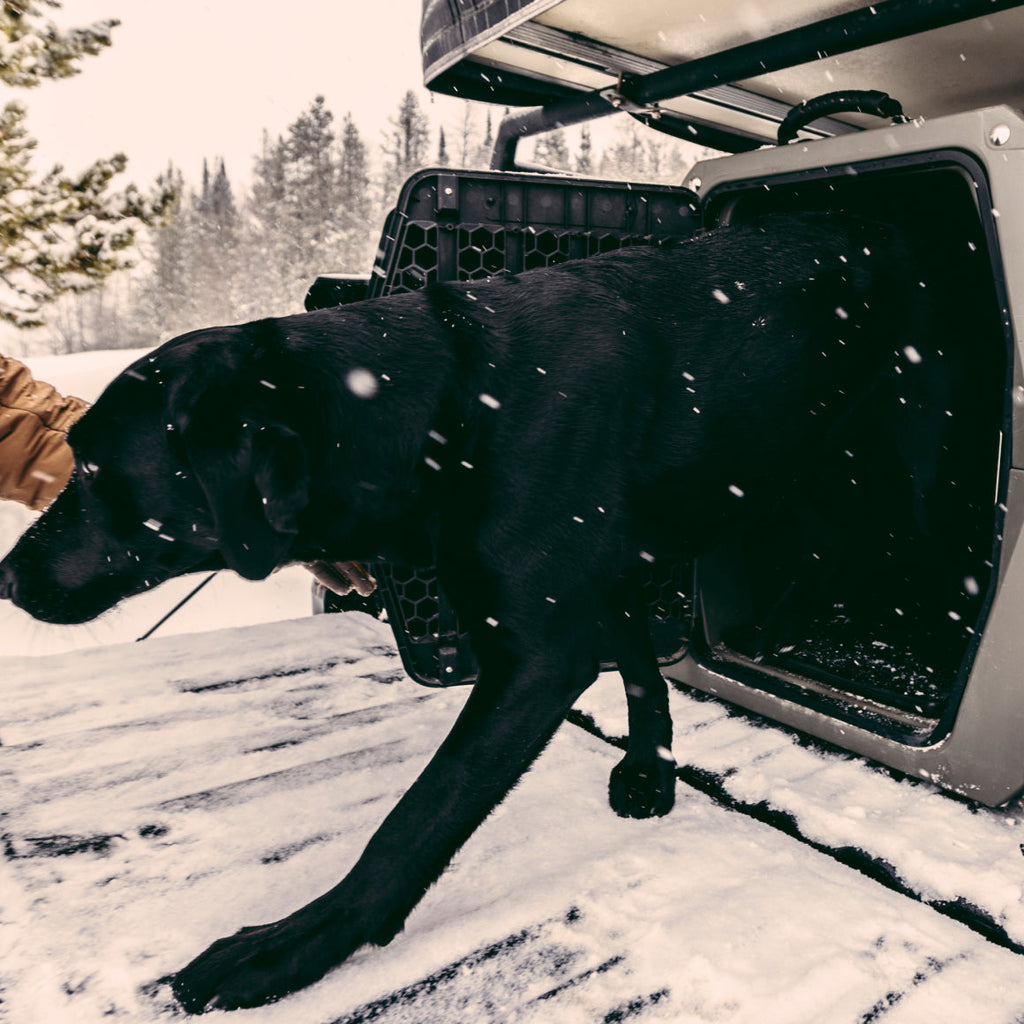 Waterproof Dog Kennel Pad product image 3