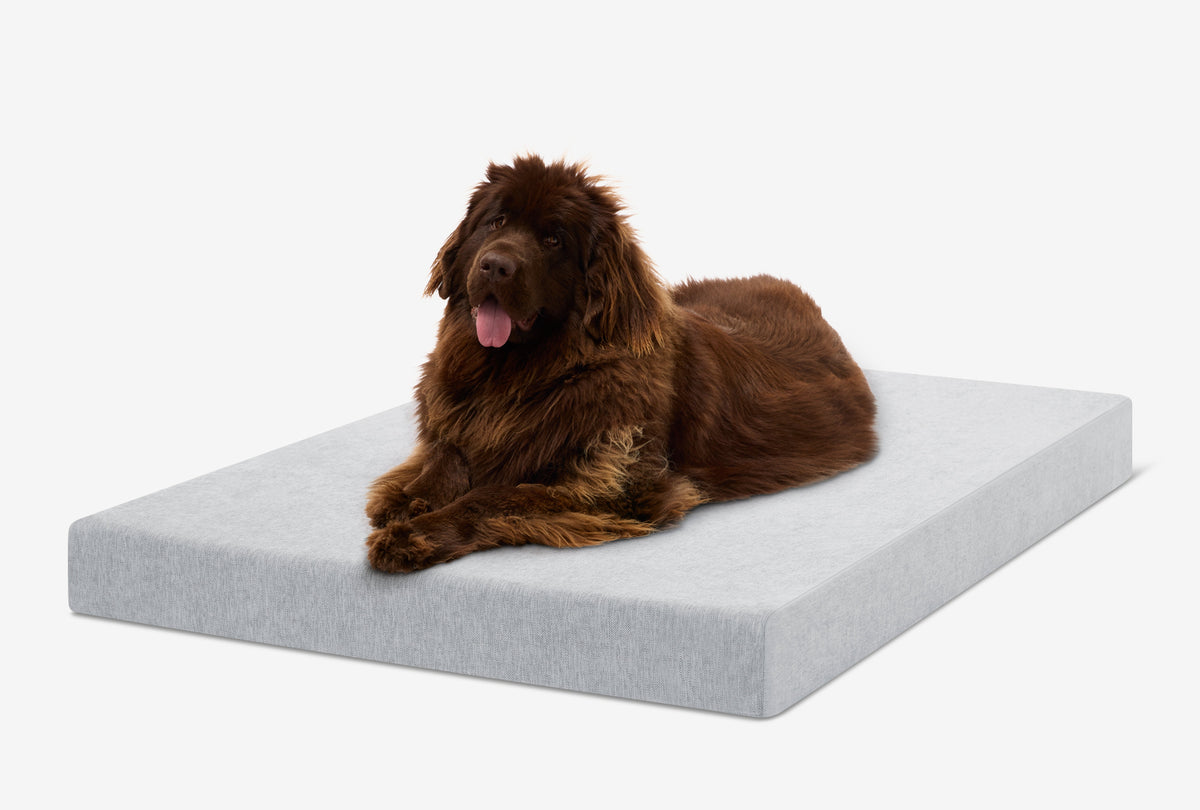 Orthopedic Dog Crate Bed product image 39