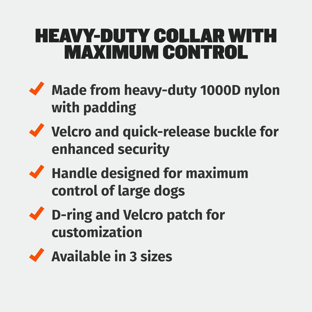Padded Tactical Dog Collar product image 3
