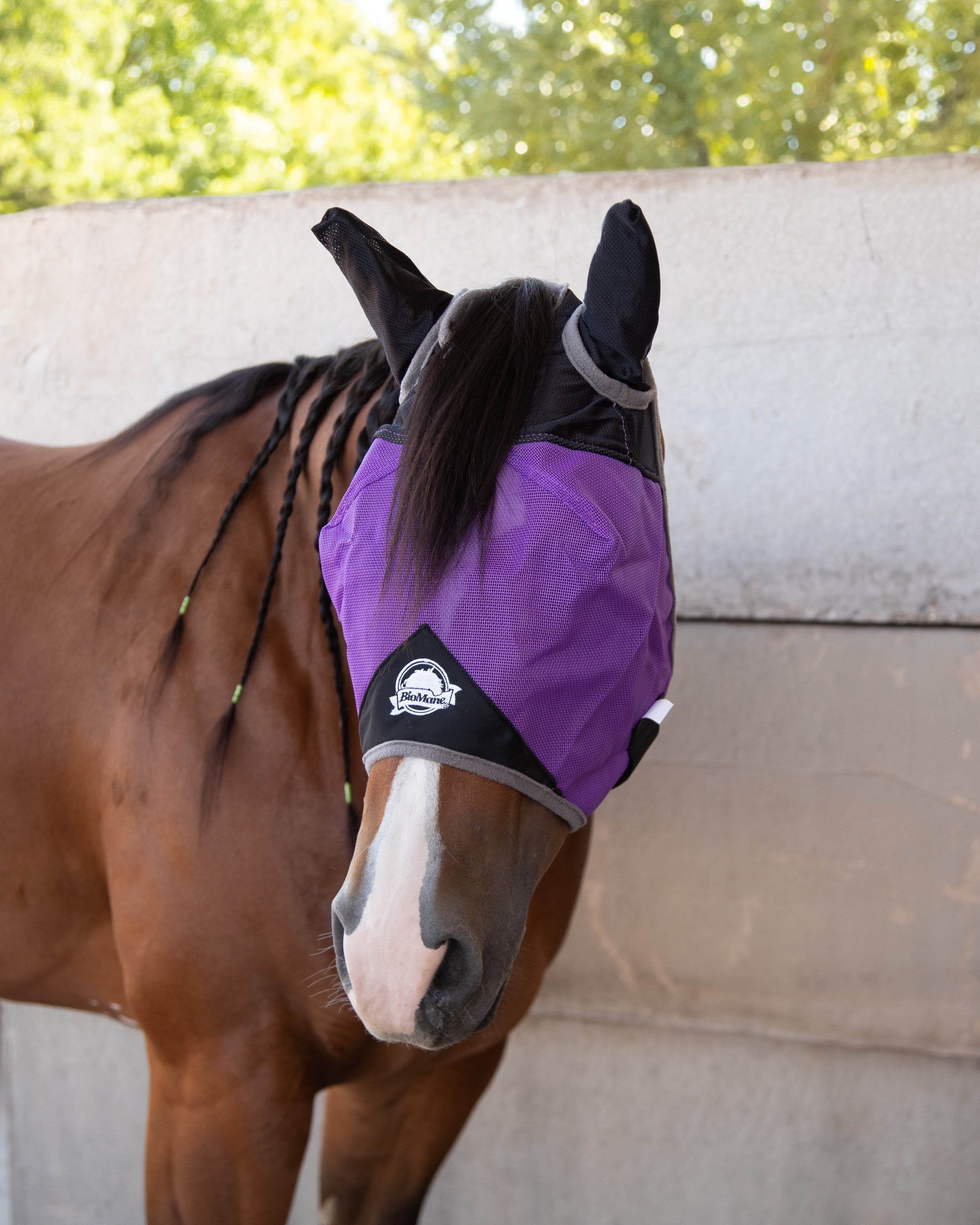 Quarter Horse Fly Mask product image 11