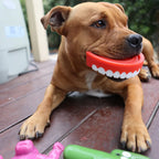 Dog Chew Toy product image 4