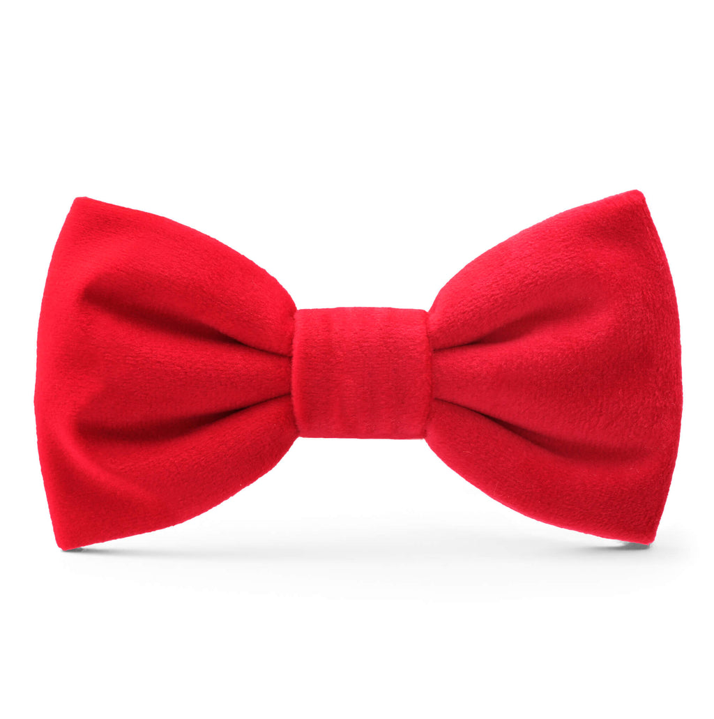 Dog Bow Tie product image 1
