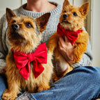 Dog Bow Tie product image 3