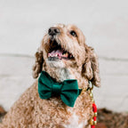 Dog Bow Tie product image 5