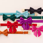 Dog Bow Tie product image 7