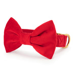 Dog Collar product image 1