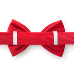 Dog Collar product image 2