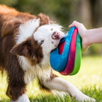 Floatable Flying Disc Dog Toy product image 3