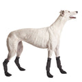 Dog Booties product image 1