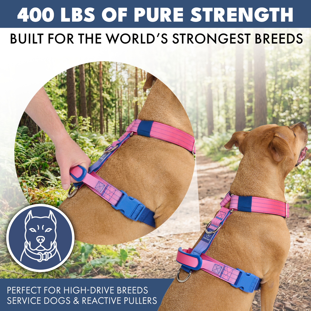 No-Pull Dog Harness Walking Set product image 39