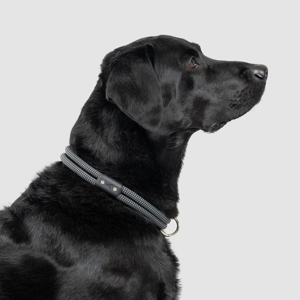 Climbing Rope Slip-On Dog Collar product image 7