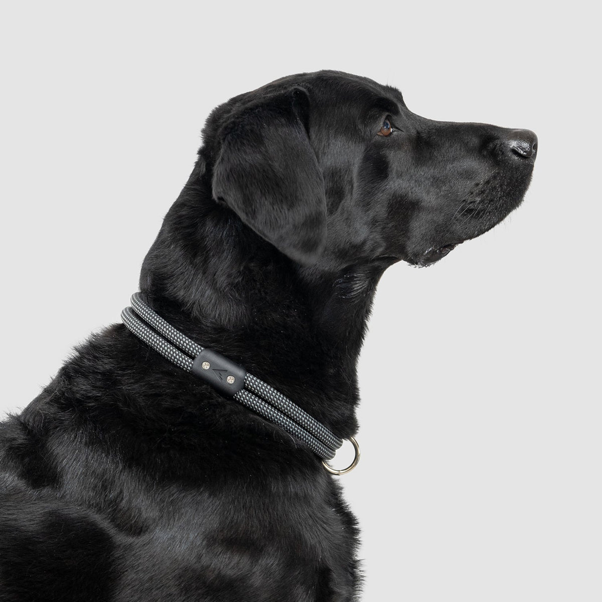 Climbing Rope Slip-On Dog Collar product image 7