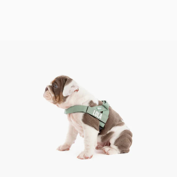 Adjustable Grab-Handle Dog Harness product image 69