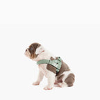 Adjustable Grab-Handle Dog Harness product image 69