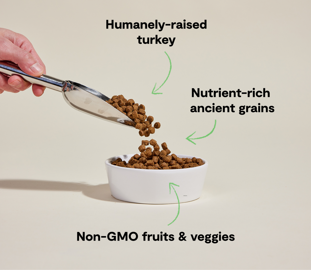 Dog Kibble product image 5