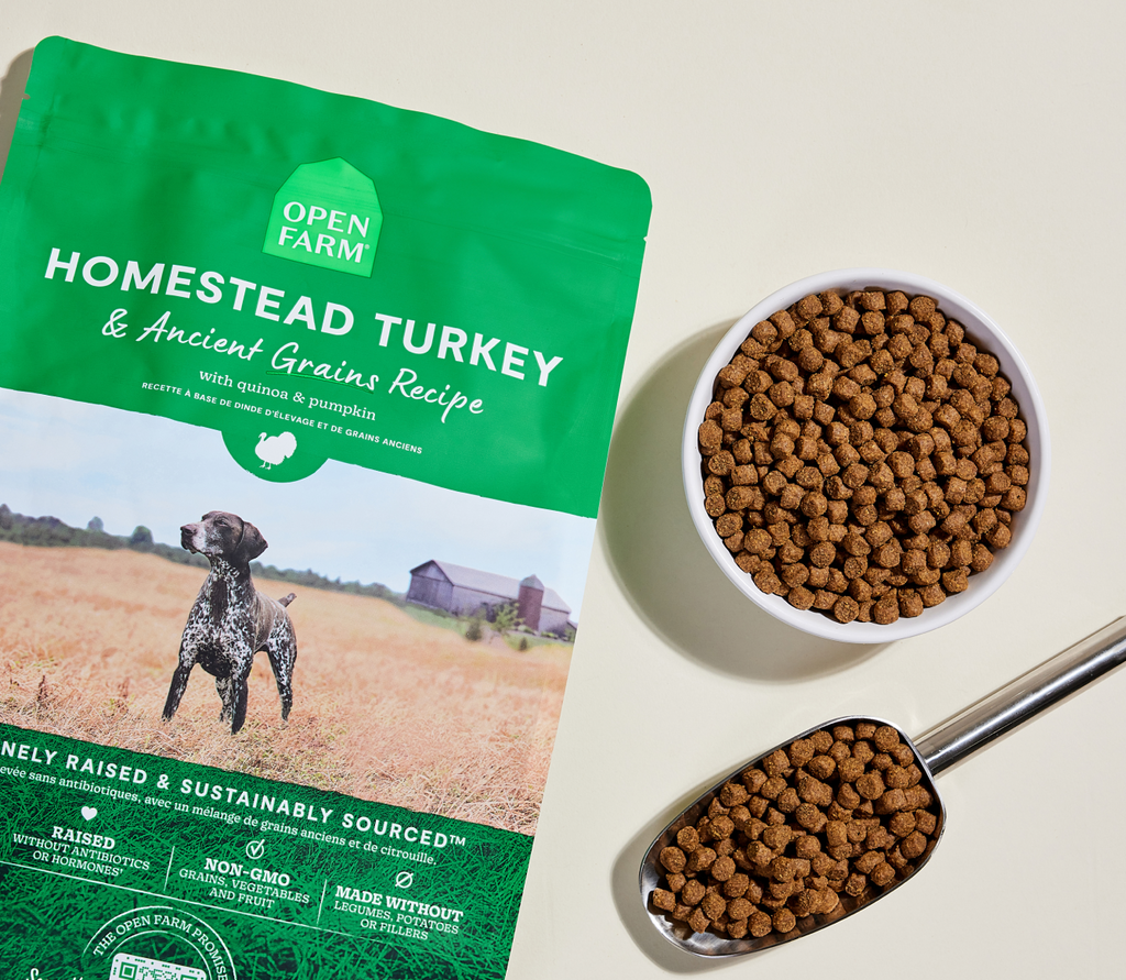 Dog Kibble product image 6