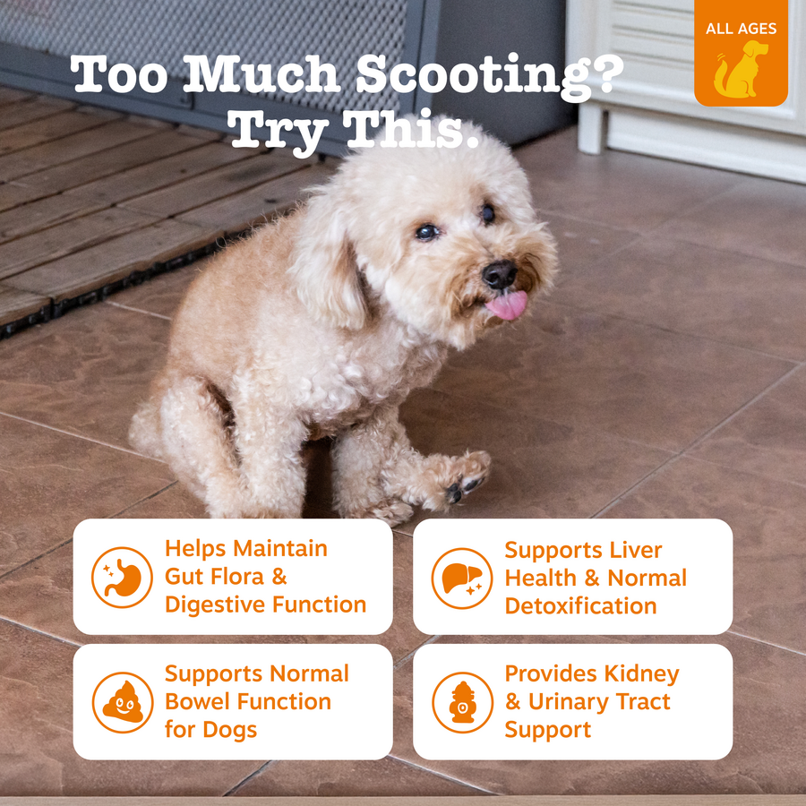 Dog Digestive Chews product image 2