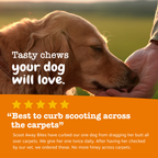 Dog Digestive Chews product image 4