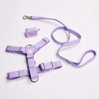 No-Pull Dog Harness Walking Set product image 43