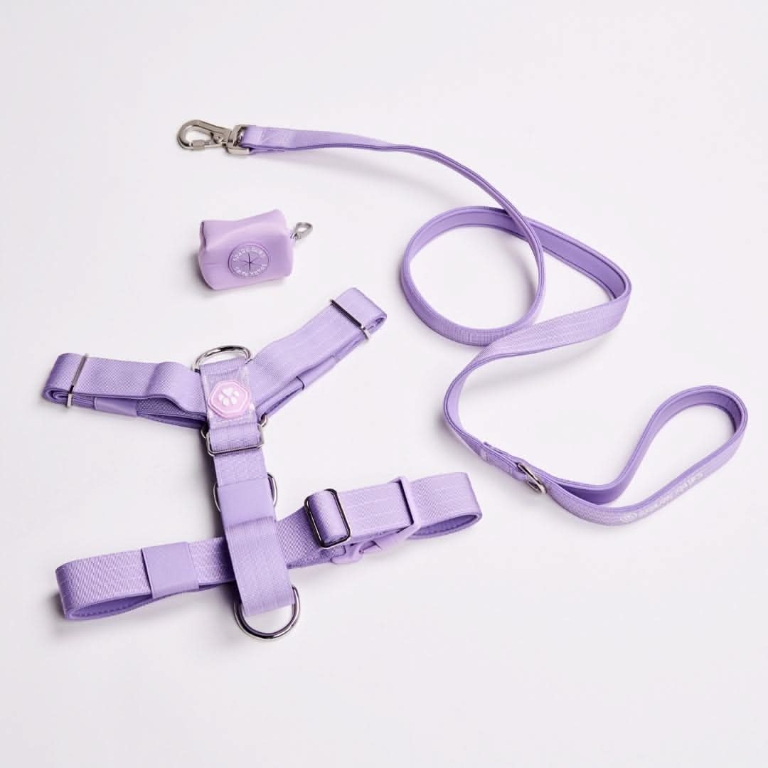 No-Pull Dog Harness Walking Set Lilac Harness / Size 3