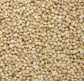 White Millet Bird Seed product image 1