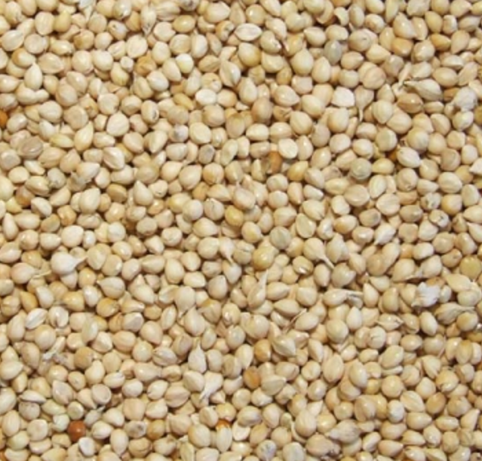 White Millet Bird Seed product image 1