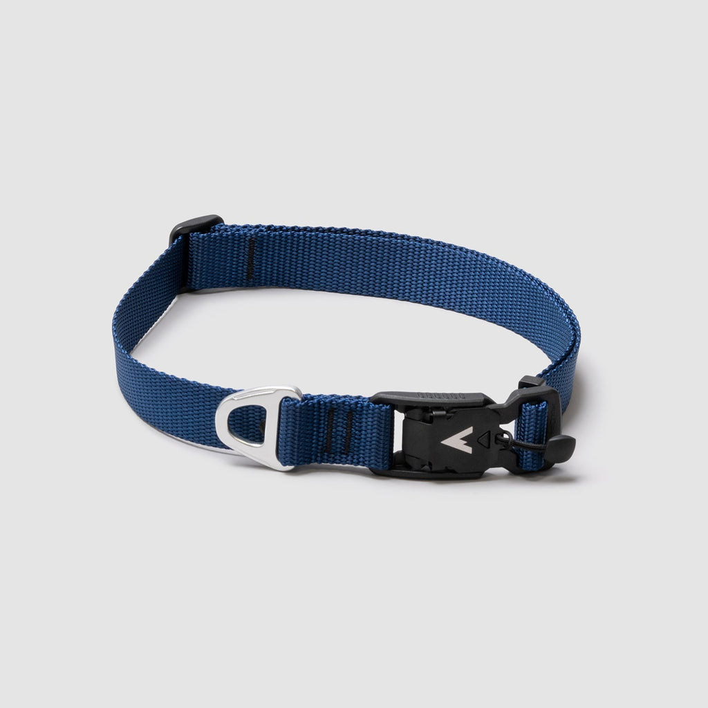 Adjustable Lightweight Dog Collar product image 7