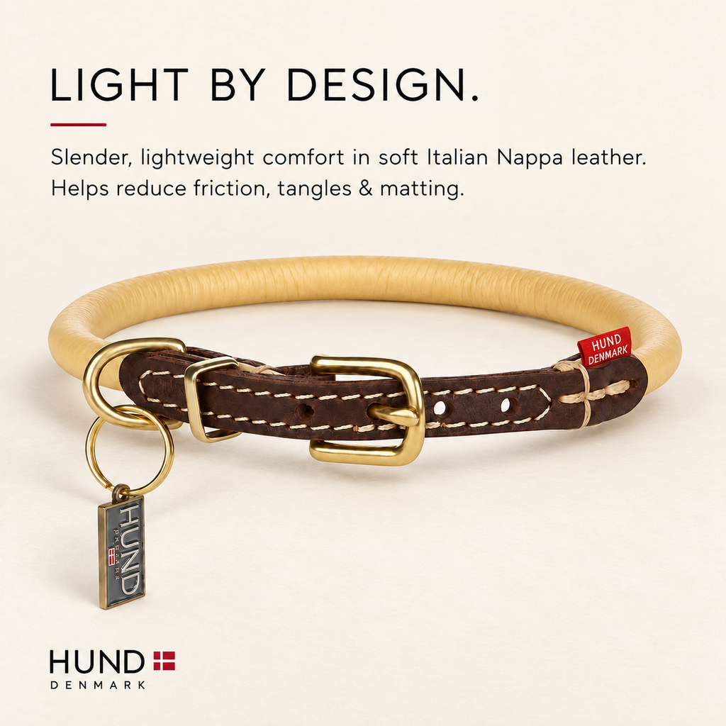 Dog Collar product image 2