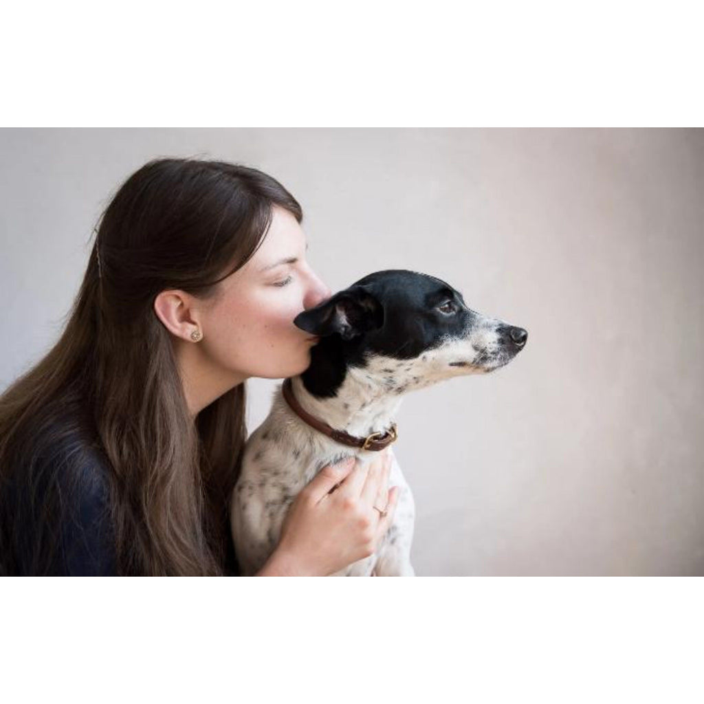 Dog Collar product image 9