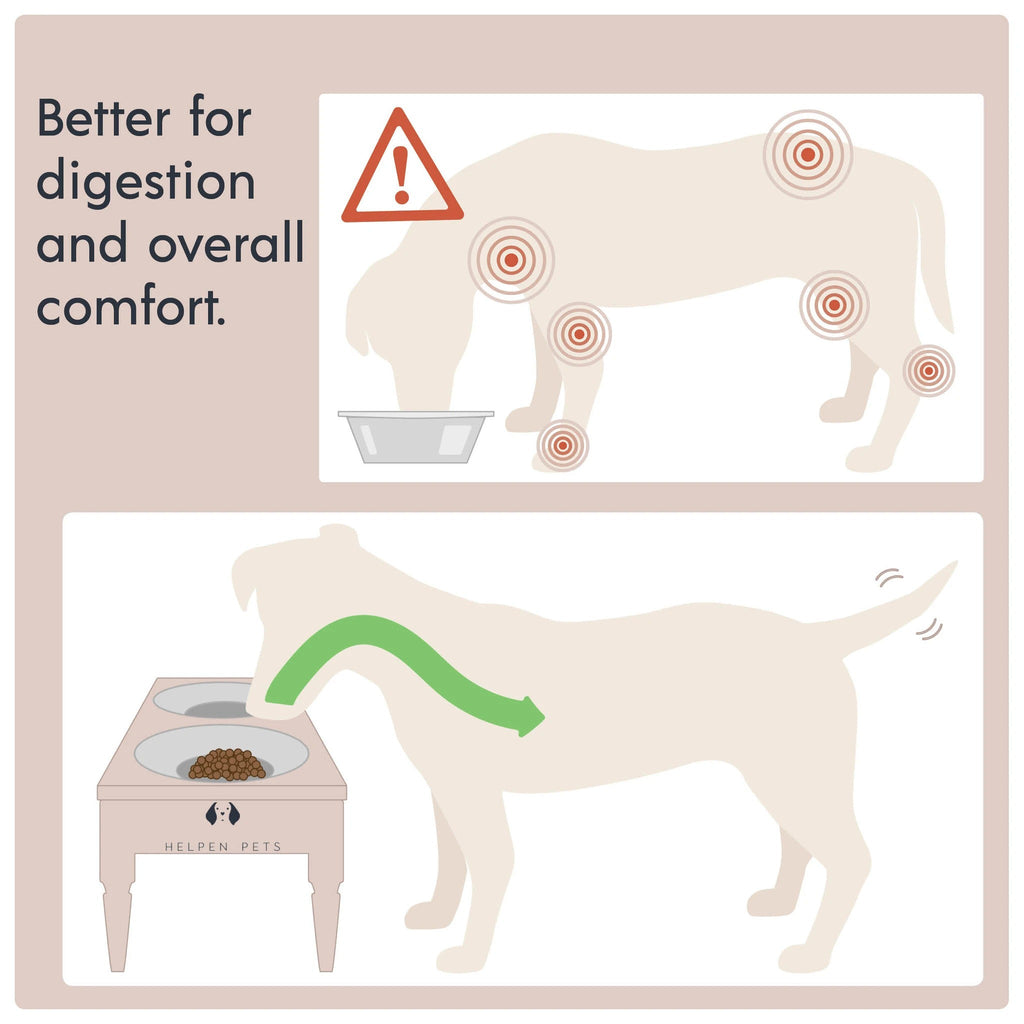 Elevated Pet Feeder product image 16