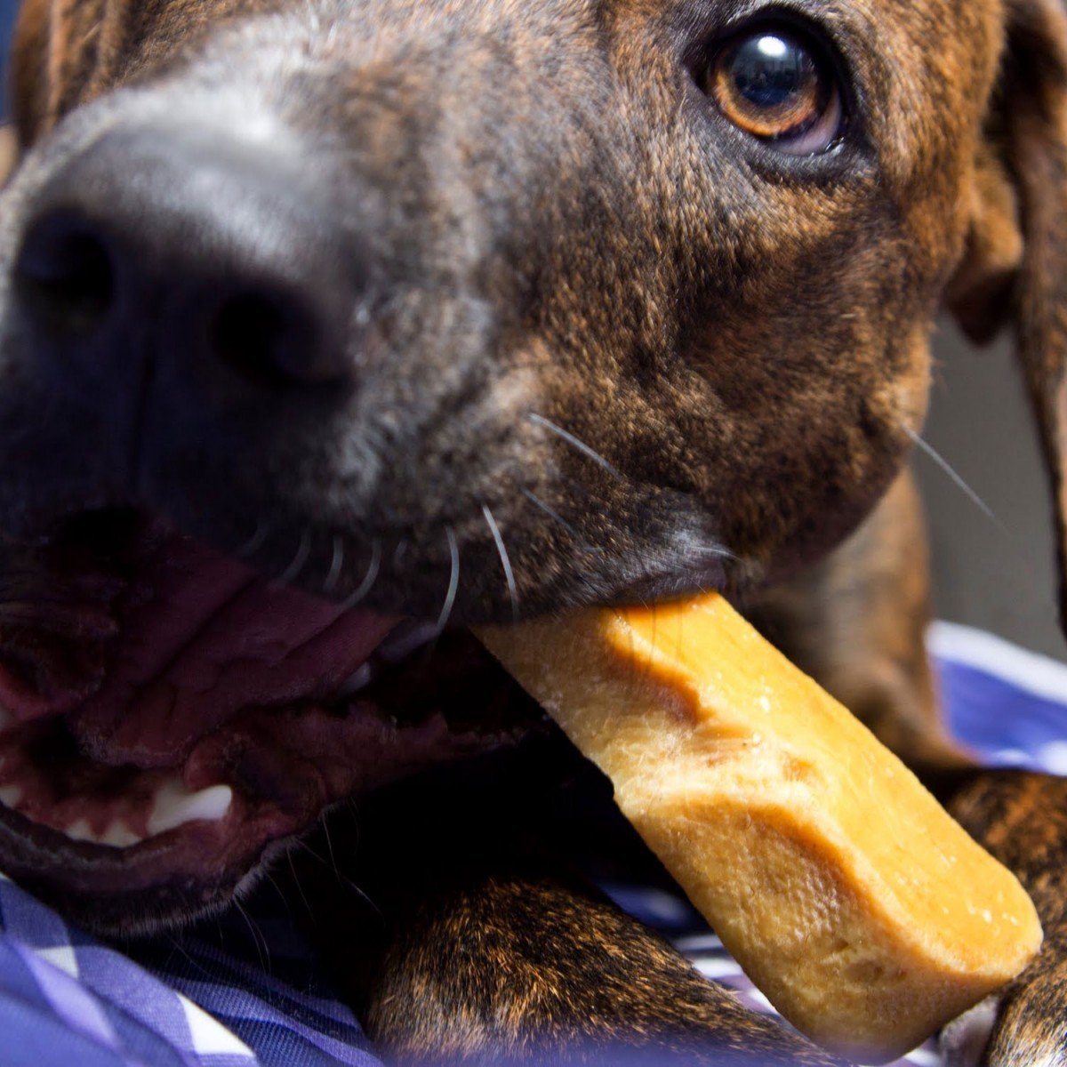 Yak Dog Chew product image 9
