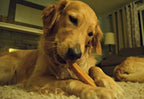 Yak Dog Chew product image 10