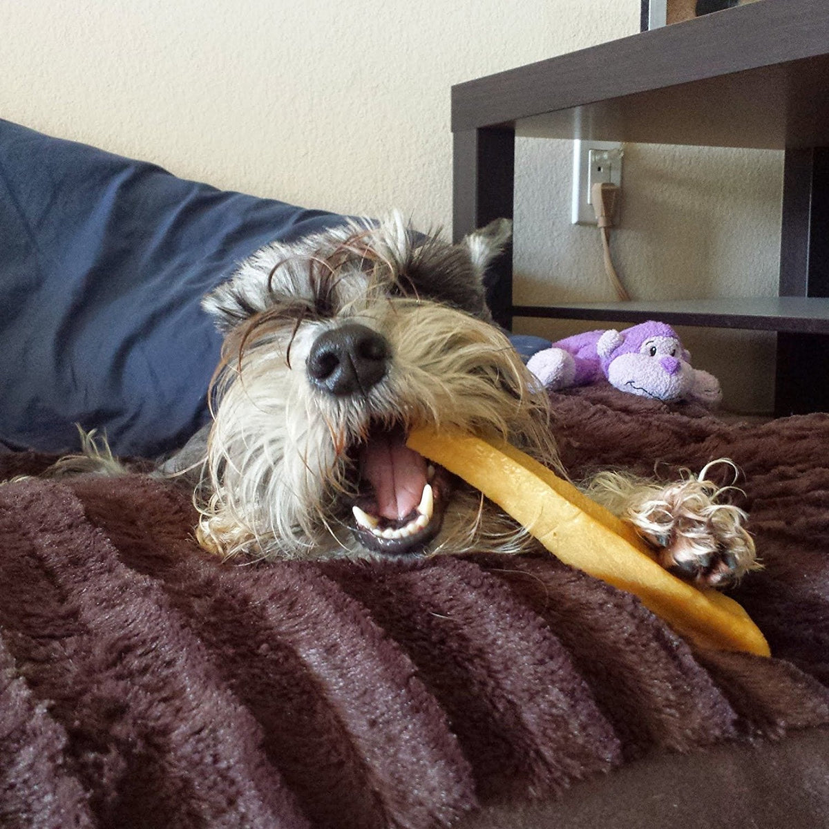 Yak Dog Chew product image 12