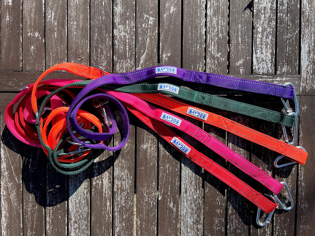 Dog Leash product image 3