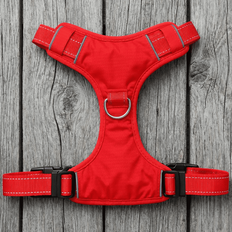Chesapeake Bay Dog Harness