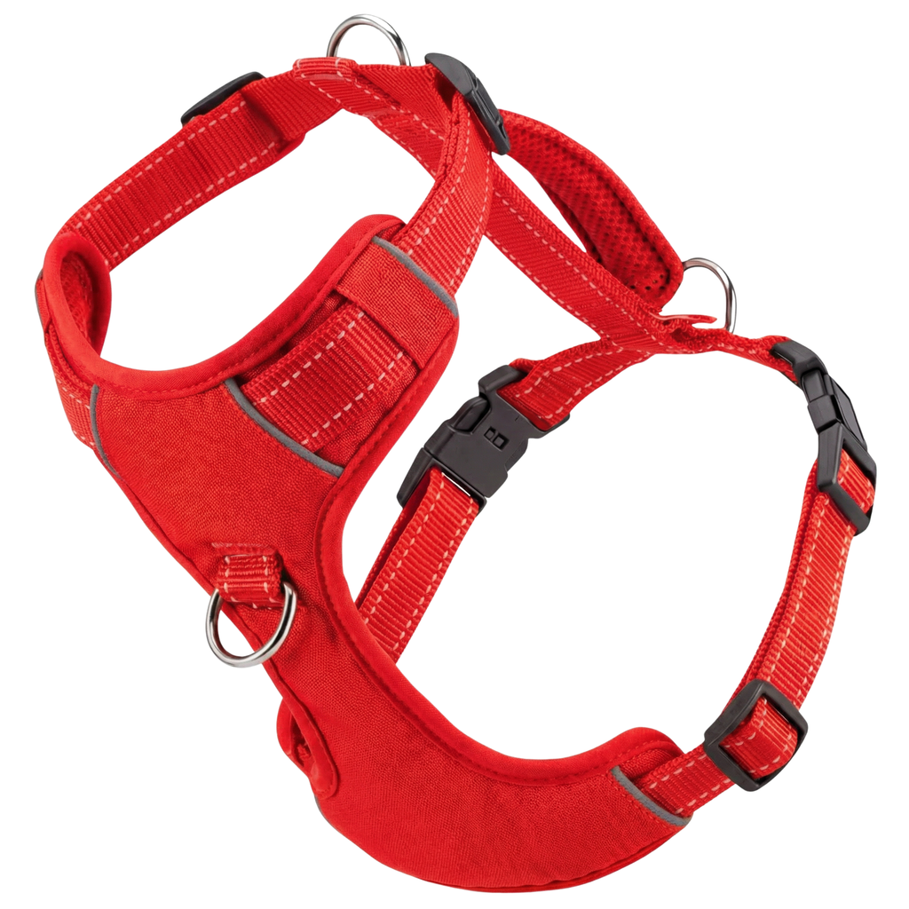 Chesapeake Bay Dog Harness