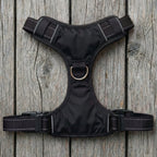 Chesapeake Bay Dog Harness