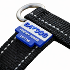 Chesapeake Bay Dog Harness