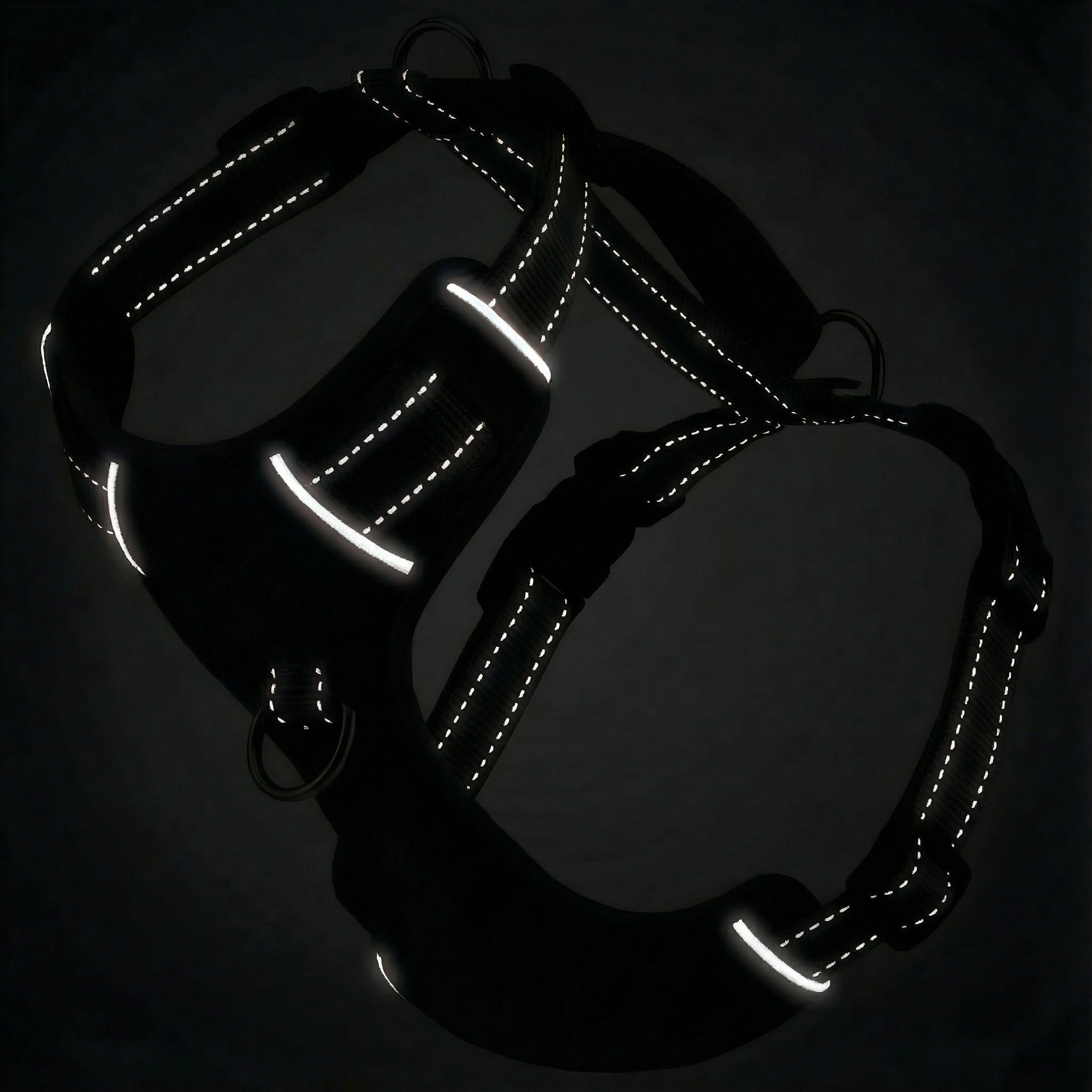 Chesapeake Bay Dog Harness