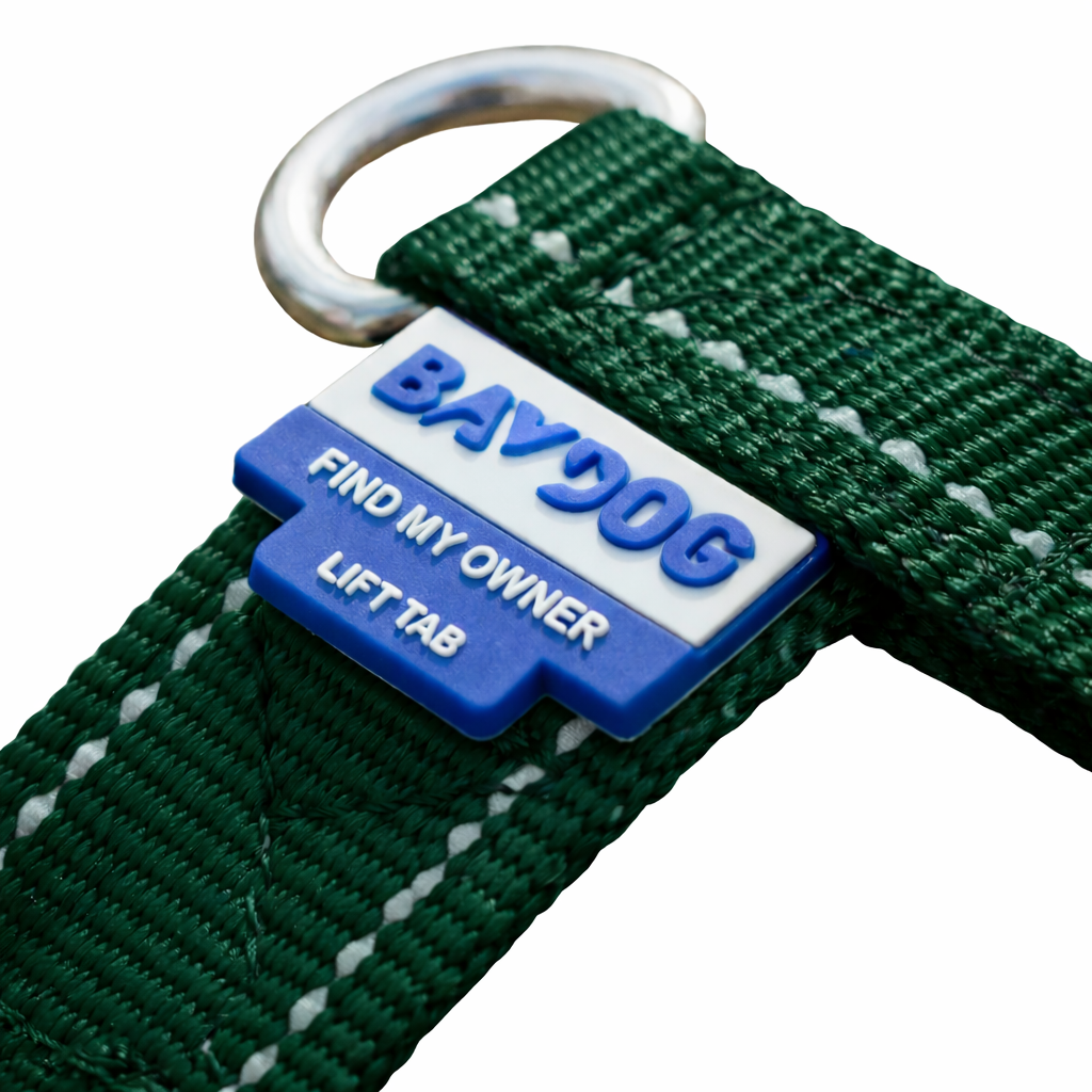 Chesapeake Bay Dog Harness