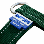Chesapeake Bay Dog Harness