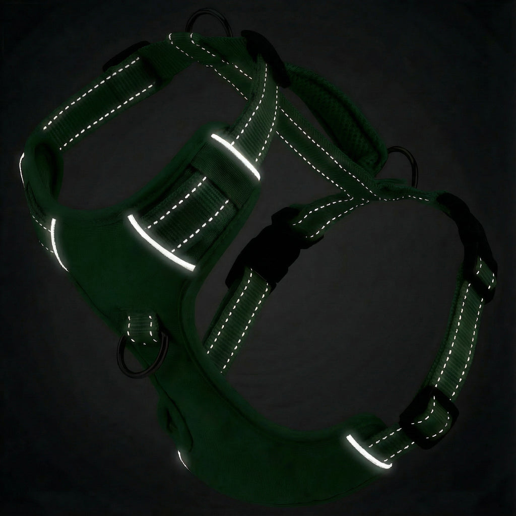 Chesapeake Bay Dog Harness