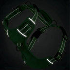 Chesapeake Bay Dog Harness